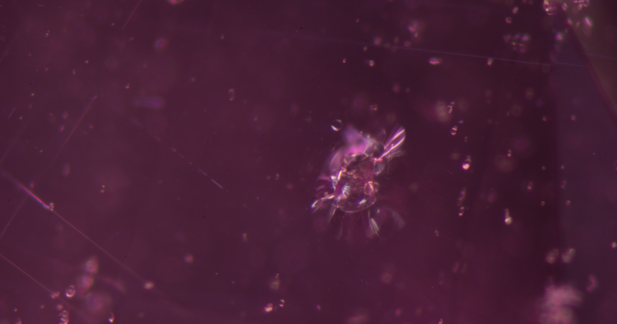 The Intriguing World of Zircon Inclusions in Madagascar Sapphires.