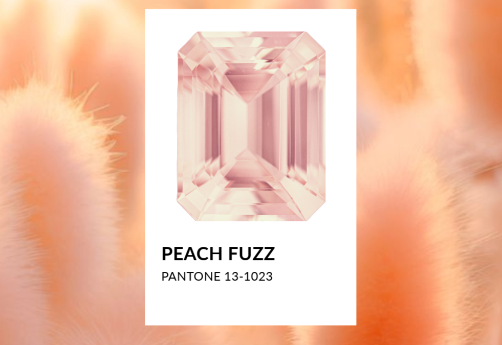 2024 Peach Fuzz Morganite: Embracing the Warmth