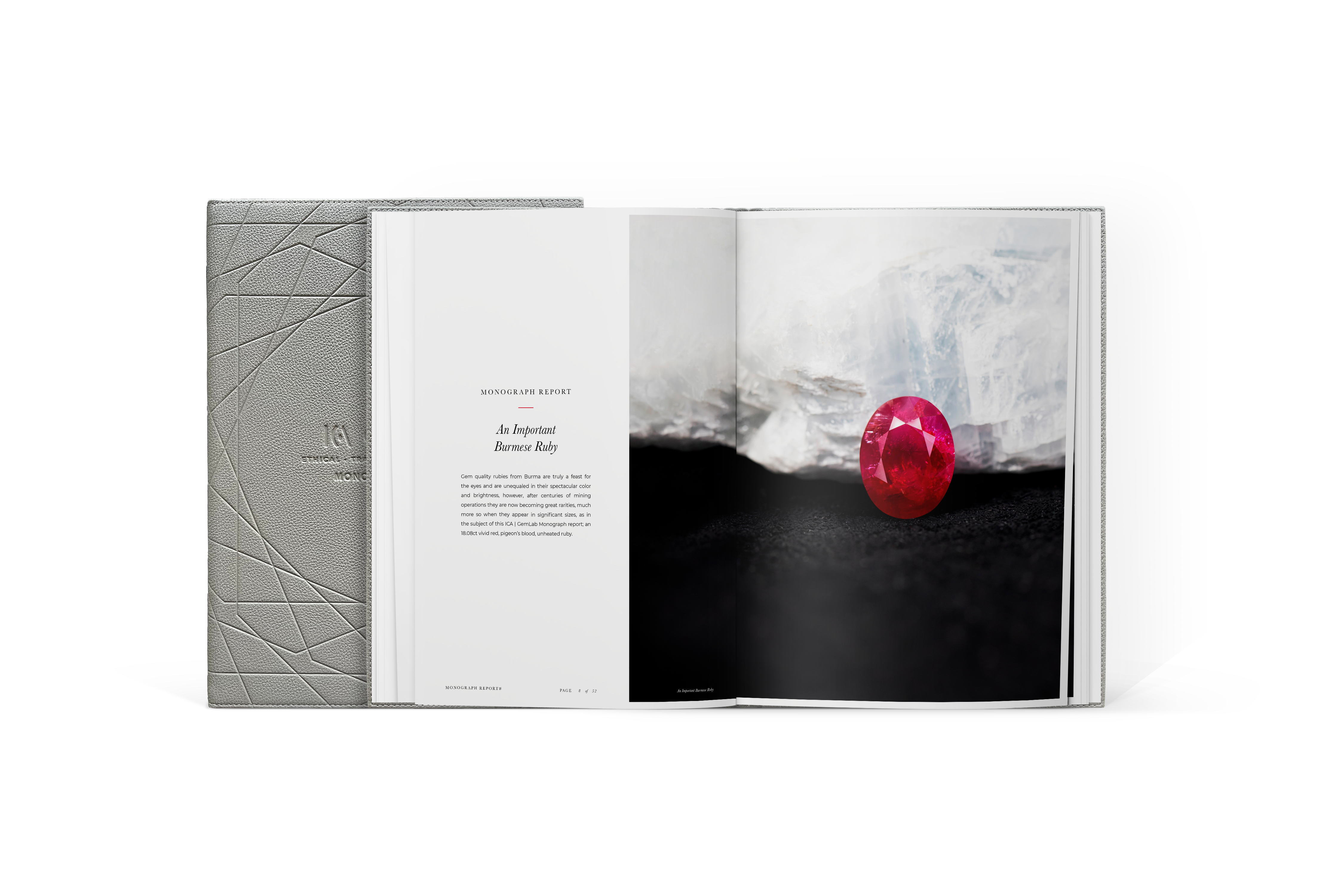 Monograph