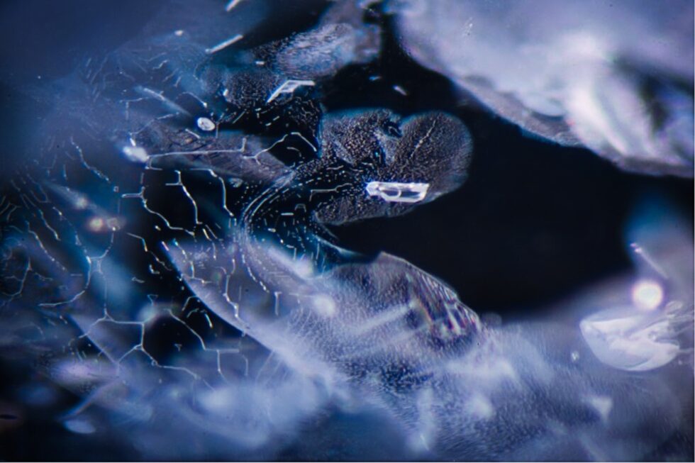 The Detection of Heat Treatment in Blue Sapphire Using FTIR & Some Notes on Related Internal Features