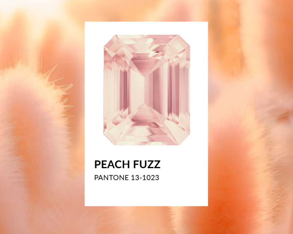 2024 Peach Fuzz Morganite: Embracing the Warmth