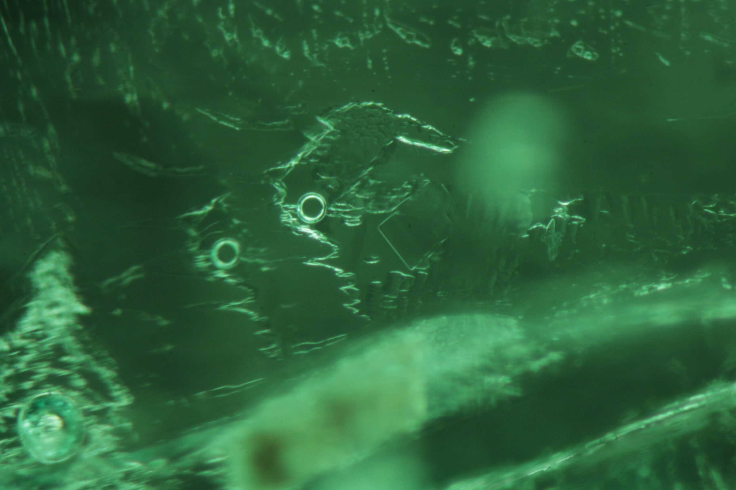 Three phase inclusion in Colombian emerald 