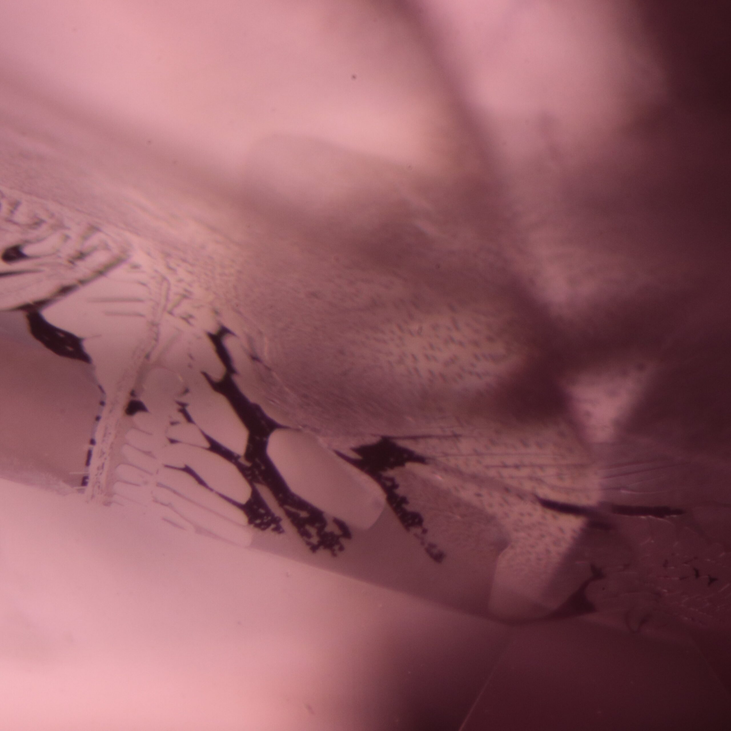 Iron stain in healed fissures in natural pink sapphire