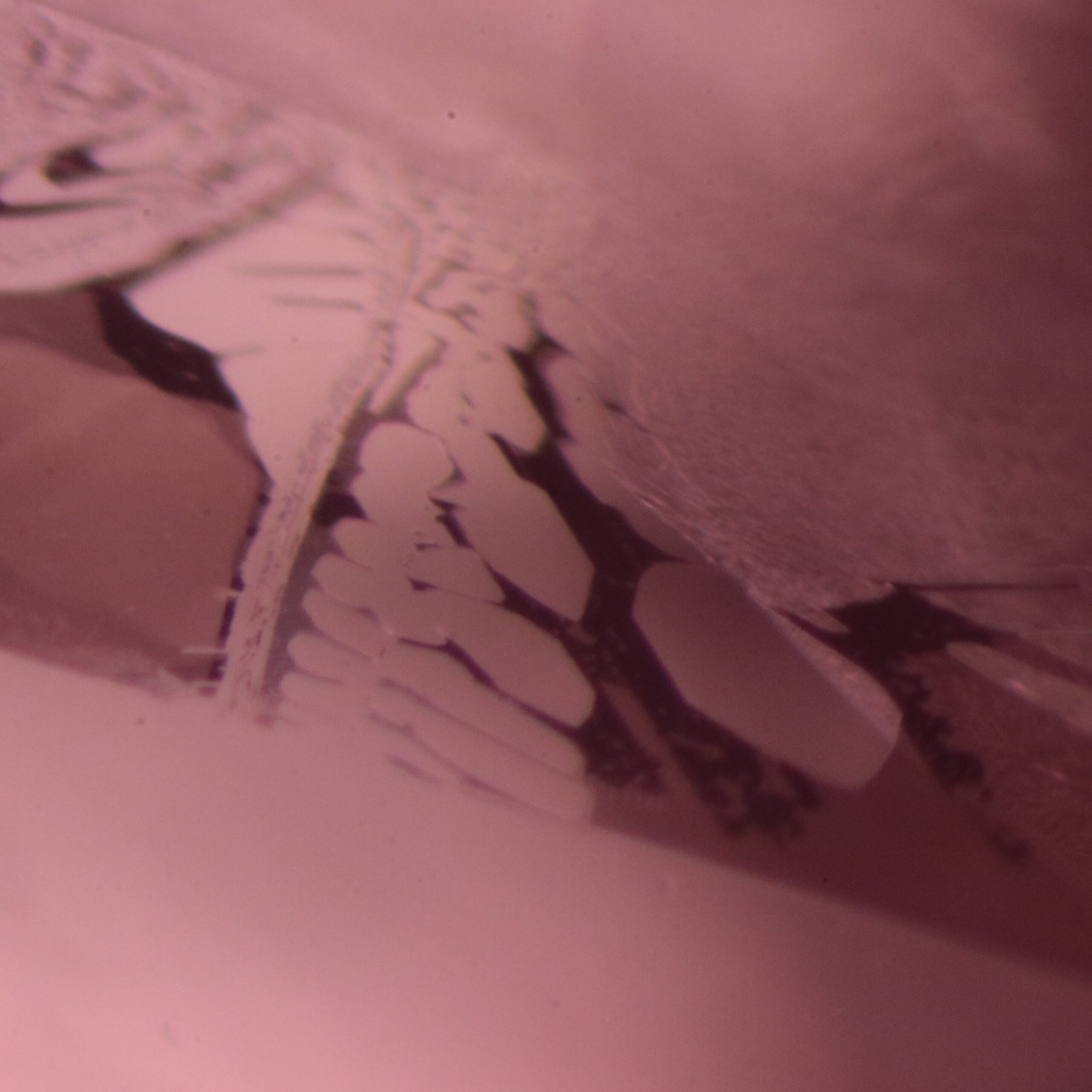 Magnified iron stain in healed fissures in natural pink sapphire
