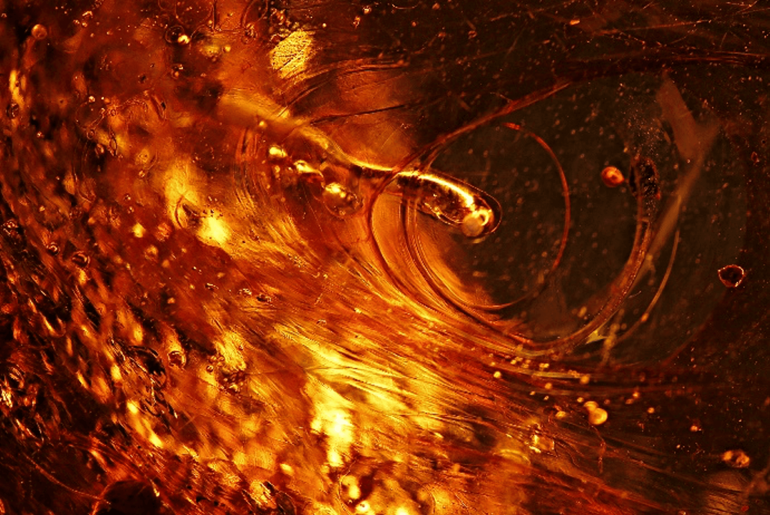 Flow striations and gas bubbles within one of the amber items submitted for examination; dark field illumination