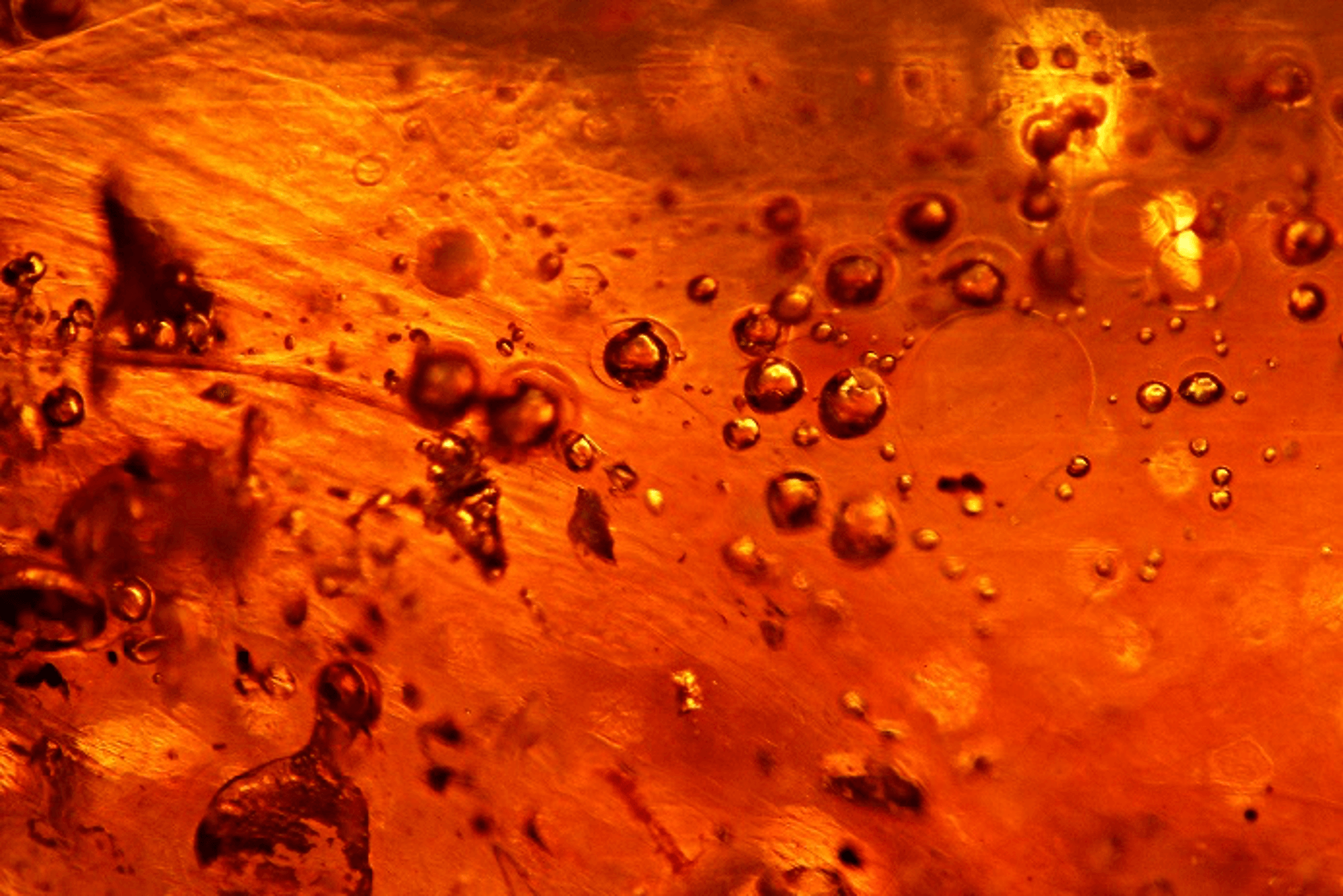 Variable size of gas bubbles within one of the amber items submitted for examination; dark field illumination
